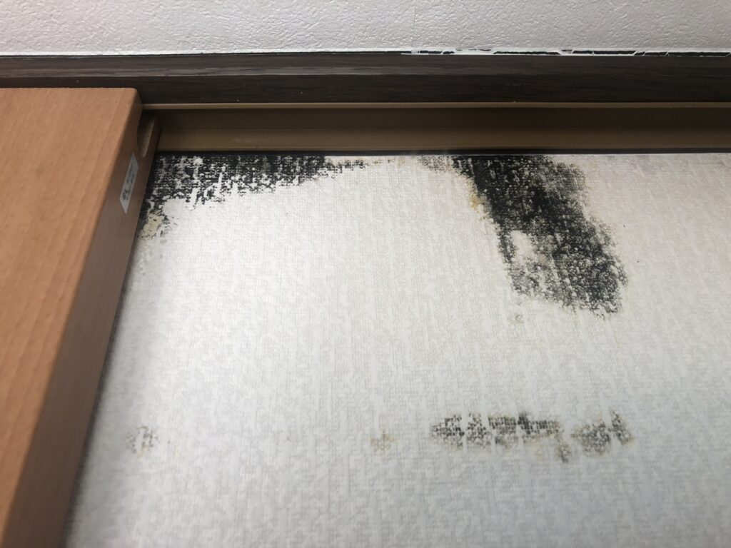 室内のカビ