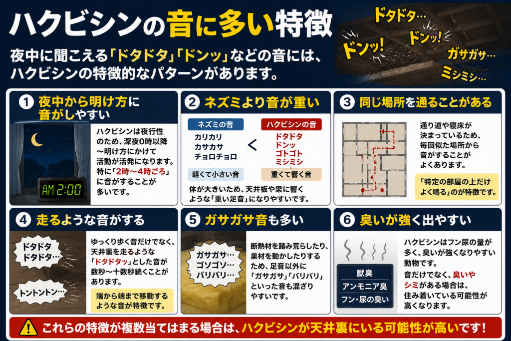 ハクビシンの音に多い特徴