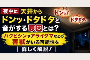 夜中に天井からドンッ・ドタドタと音がする原因とは？ハクビシンやアライグマなどの害獣がいる可能性を詳しく解説