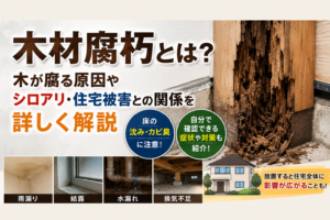 木材腐朽とは？