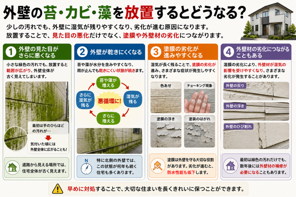 外壁の苔・カビ・藻を放置するとどうなる?