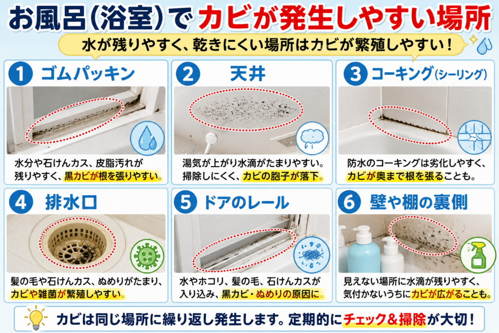 お風呂でカビが発生しやすい場所
