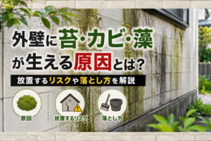 外壁の苔・カビ・藻が生える原因とは？